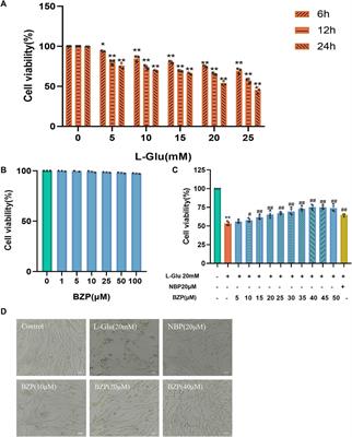 Brozopine ameliorates cognitive impairment via upregulating Nrf2, antioxidation and anti-inflammation activities